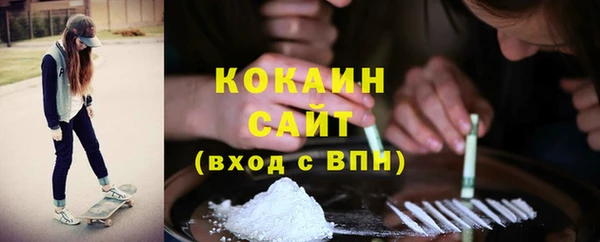 дживик Алексин