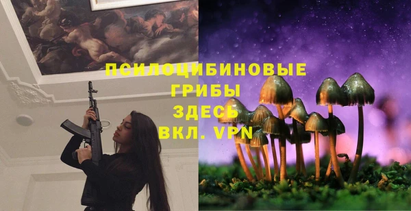 дживик Алексин