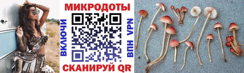 Псилоцибиновые грибы ЛСД  мега сайт  это телеграм  Грязи 
