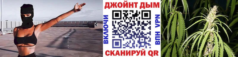 Канабис OG Kush  Грязи 
